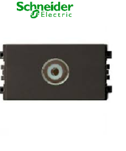 Ổ TIVI SIZE S 8431STV_BZ_G19