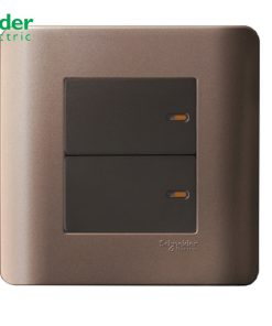 BỘ CÔNG TẮC ĐÔI 2 CHIỀU 16A SCHNEIDER MÀU ĐỒNG - E8432_2_SZ_G19